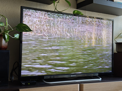 Daruji za odvoz TV SONY Bravia
