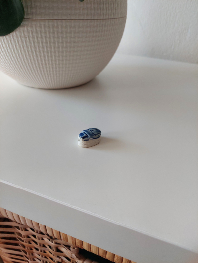 Korálek scarabeus modrý