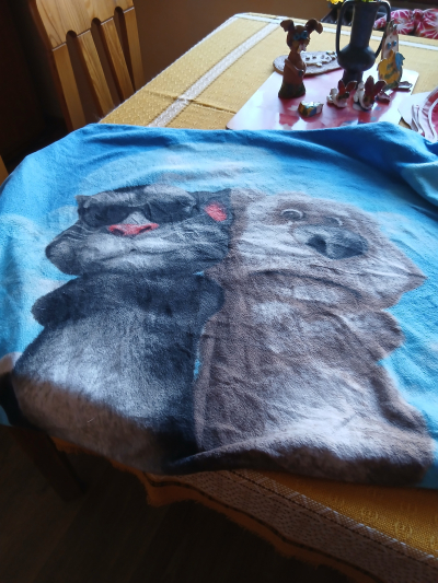 flanel.povlak asi 85 x 85 teplý