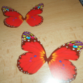 2x motýl červený