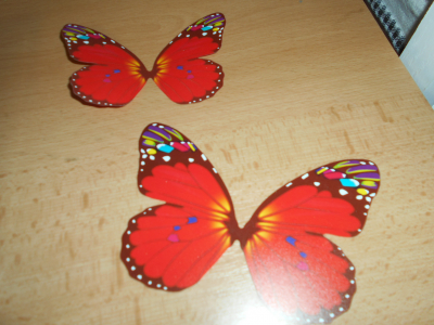 2x motýl červený