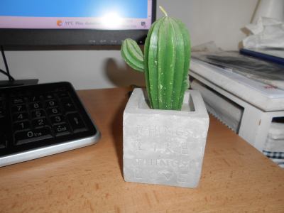 Svíčka kaktus Pepco