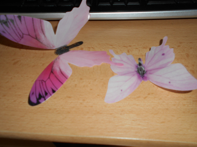 2 x růžový motýl