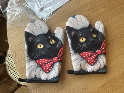 Dvě kuchyňské chňapky