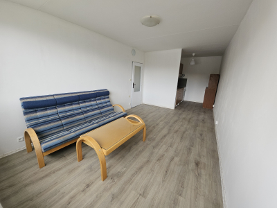 Pohovka + konferenční stolek