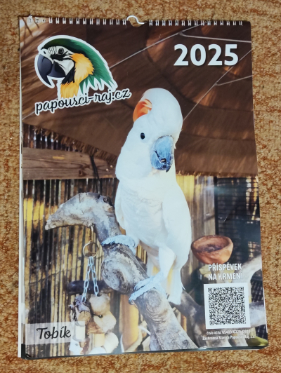 Starý kalendář s fotkami krásných papoušků.