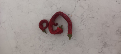 Chilli 1