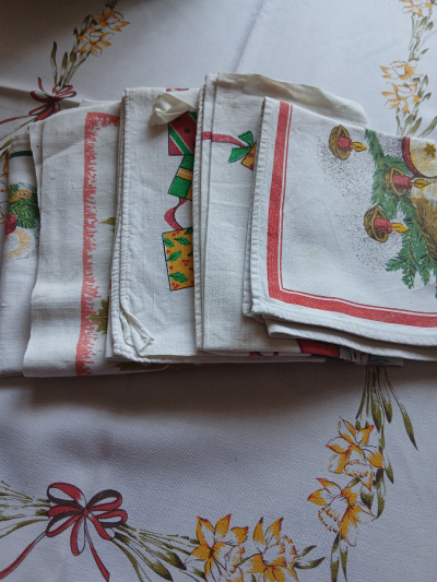 utěrky s motivem pro Annie