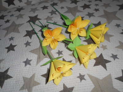 5 papírových květin
