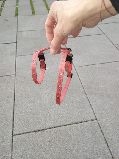 Postroj na venčení kralika