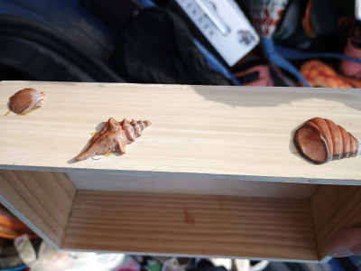 Krabička na vzpominky