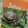 Knihy želvy