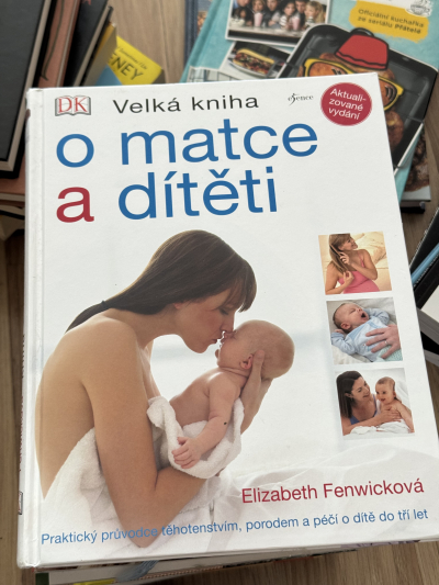 Velká kniha o matce a dítěti