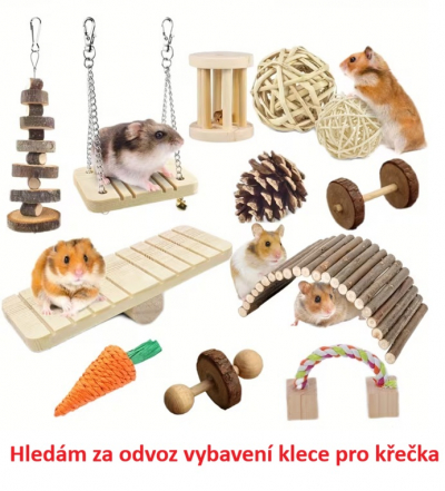 Vybavení klece pro křečka