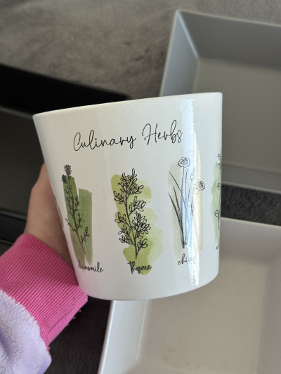 Bylinkový květináč