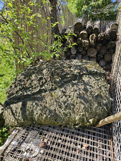 Maskovací síť