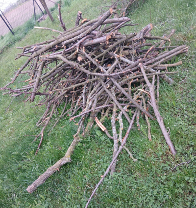 větve ovocných stromů