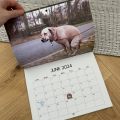 Vtipný kalendář 2024
