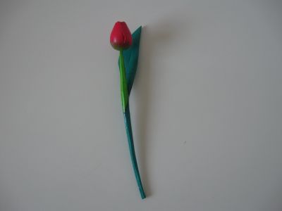 Dřevěný tulipán