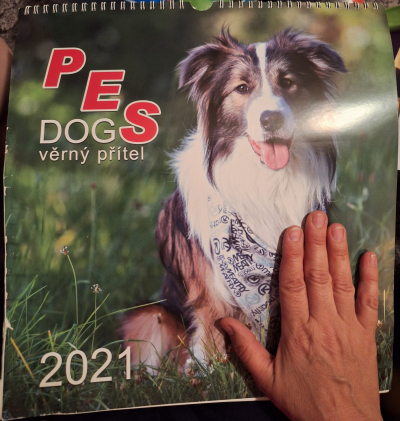 Kalendář psi