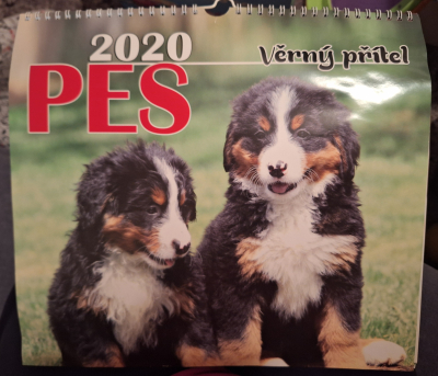 Kalendář Psi 2020