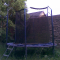 Trampolína