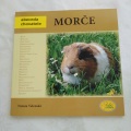 brožura morče