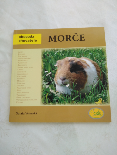 brožura morče