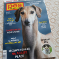 časopis 1