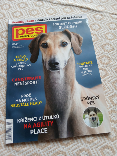 časopis 1
