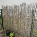 Bambusový plot