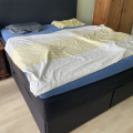 postel