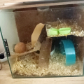 Daruji Akvárium Florarium Terarium
