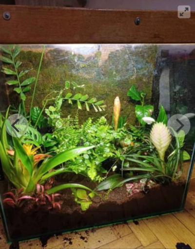Daruji Akvárium Florarium Terarium