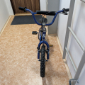 Kolo 16" Keller Lexar