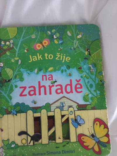 Dětská knížka Jak to žije na zahradě