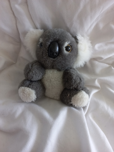 Medvídek Koala