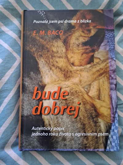 Kniha Bude dobrej
