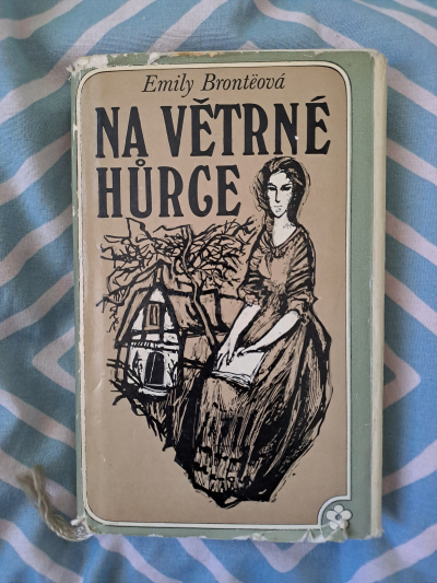 Kniha Na větrné hůrce