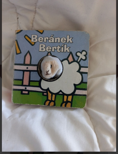 Dětská kniha Beránek Bartík