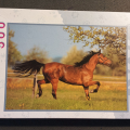 Puzzle kůň 500 dílků