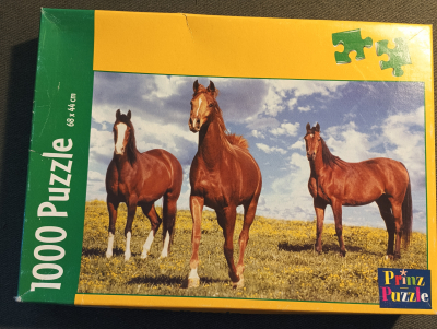 Puzzle koně 1000 dílků