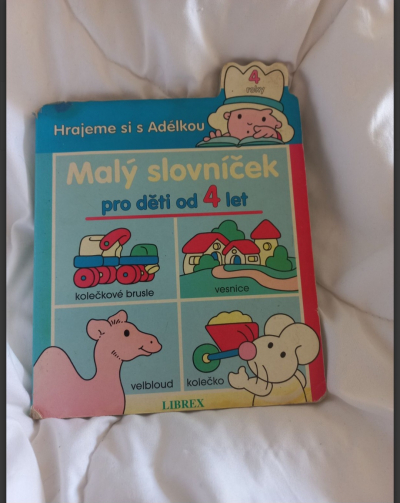 Kniha Malý slovníček