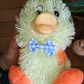 Kacka i jako dekorace na Velikonoce:-)