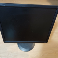 monitor ProLite 81980SD (bez kabelu)