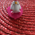 Figurky zvířátek