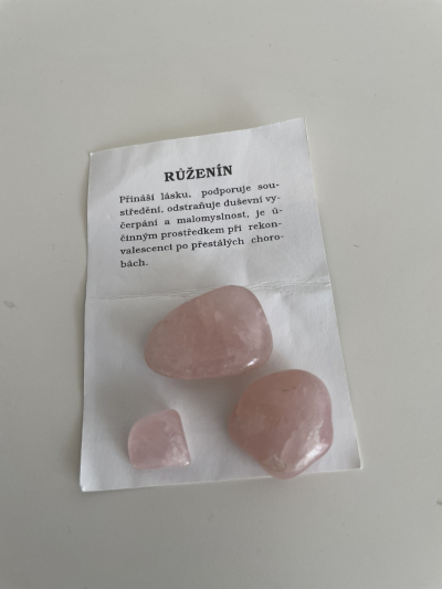 Růženíny - NOVÉ