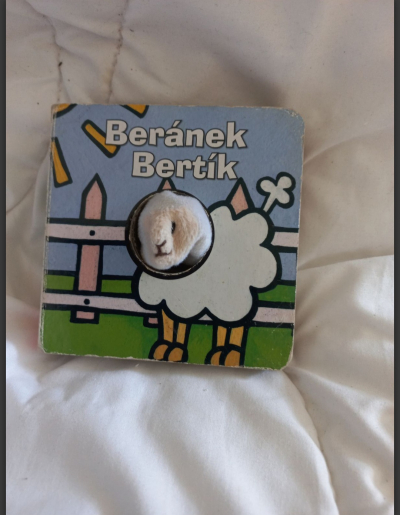 Dětská knížka Beránek Bertik