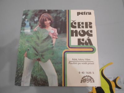 Gramofonová deska Petra Černocká