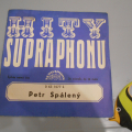 Gramofonová deska Petr Spálený 2